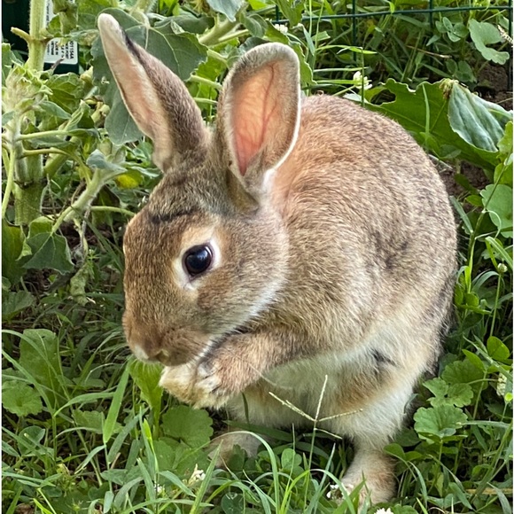 Meet your Posher, Amy - Picture 7 of 16